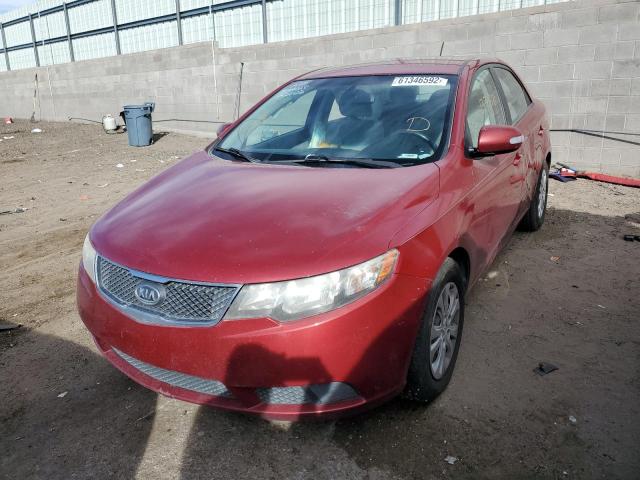 KNAFU4A26A5179586 - 2010 KIA FORTE EX RED photo 2