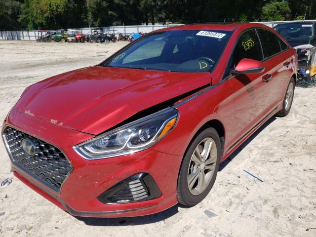 5NPE34AF6JH701587 - 2018 HYUNDAI SONATA SPO RED photo 2