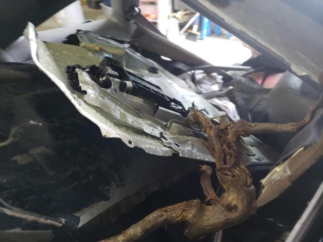 2HGFG12968H512085 - 2008 HONDA CIVIC EXL Boz foto 6