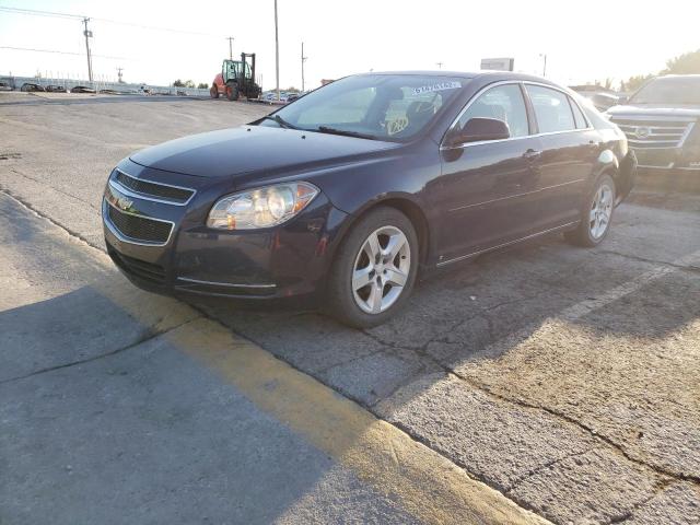1G1ZH57BX9F168994 - 2009 CHEVROLET MALIBU 1LT 蓝色 照片 2