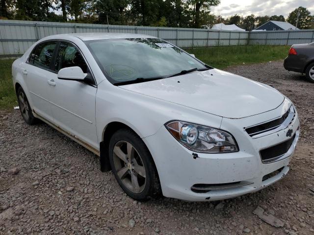 1G1ZC5E11BF183706 - 2011 CHEVROLET MALIBU 1LT თეთრი ფოტო 1
