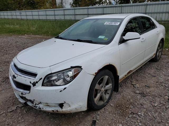 1G1ZC5E11BF183706 - 2011 CHEVROLET MALIBU 1LT თეთრი ფოტო 2