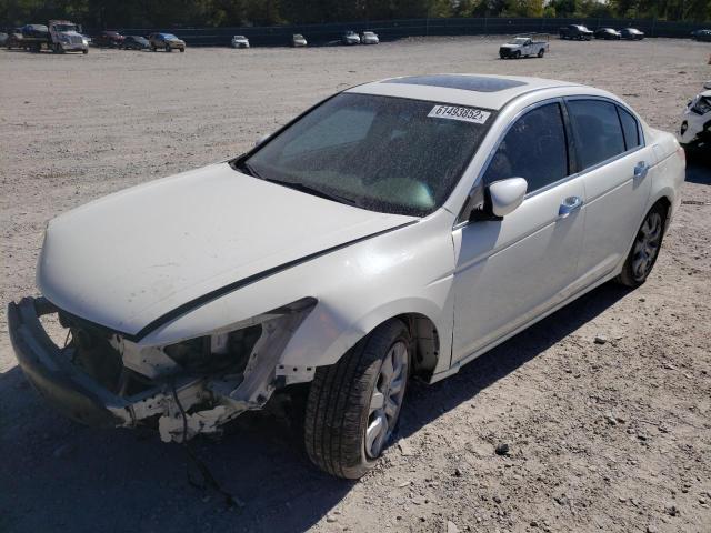 1HGCP36819A023335 - 2009 HONDA ACCORD EXL WHITE photo 2