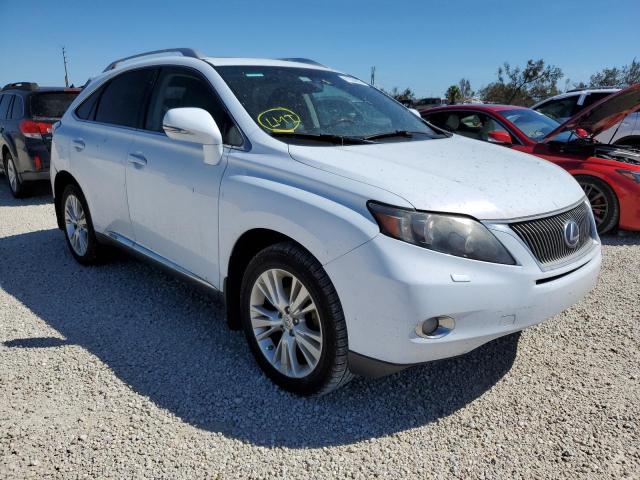 JTJBC1BAXA2005835 - 2010 LEXUS RX 450 WHITE photo 1