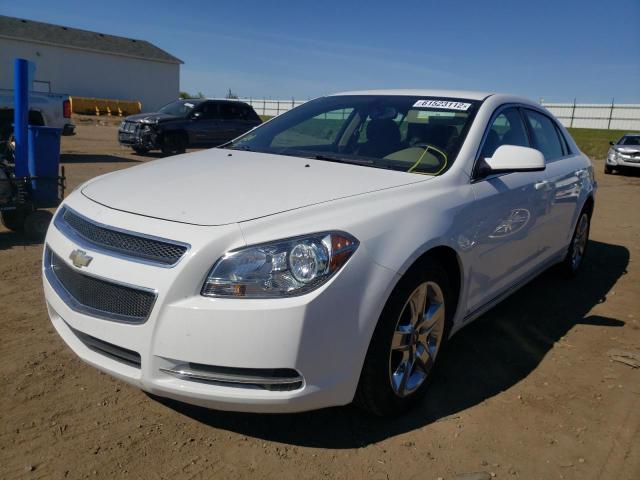1G1ZH57B39F101038 - 2009 CHEVROLET MALIBU 1LT 白色 照片 2