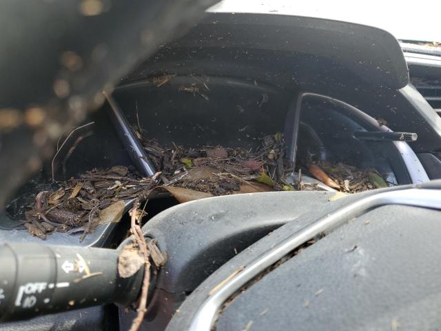 JHMFC1F77KX011596 - 2019 HONDA CIVIC EXL 银色 照片 8