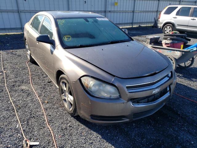 1G1ZA5E03AF175702 - 2010 CHEVROLET MALIBU LS TAN photo 1