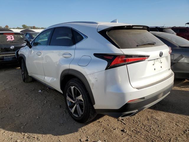 JTJBARBZ5K2210782 - 2019 LEXUS NX 300 BAS 白色 照片 3
