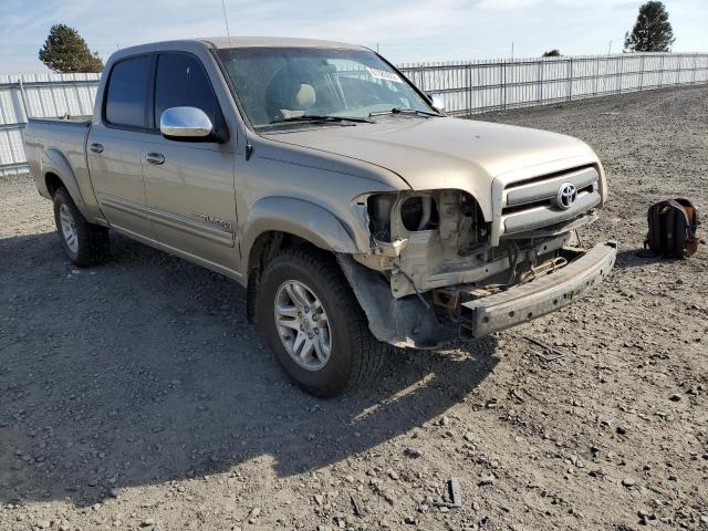 5TBET34196S514929 - 2006 TOYOTA TUNDRA DOU GOLD photo 1