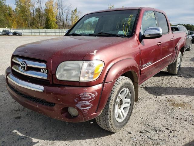 5TBDT44146S529680 - 2006 TOYOTA TUNDRA DOU MAROON photo 2