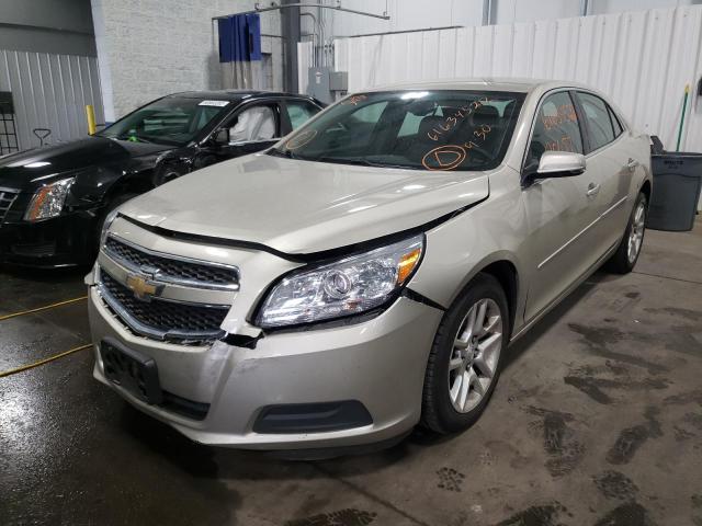 1G11C5SA3DF213731 - 2013 CHEVROLET MALIBU 1LT TAN photo 2