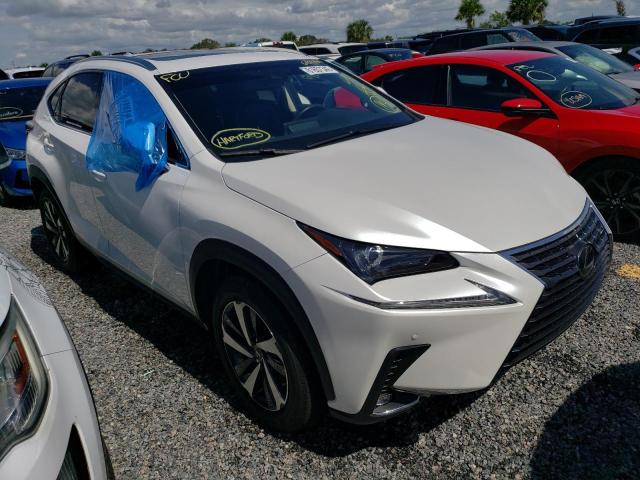 JTJYARBZ3K2142136 - 2019 LEXUS NX 300 BAS WHITE photo 1