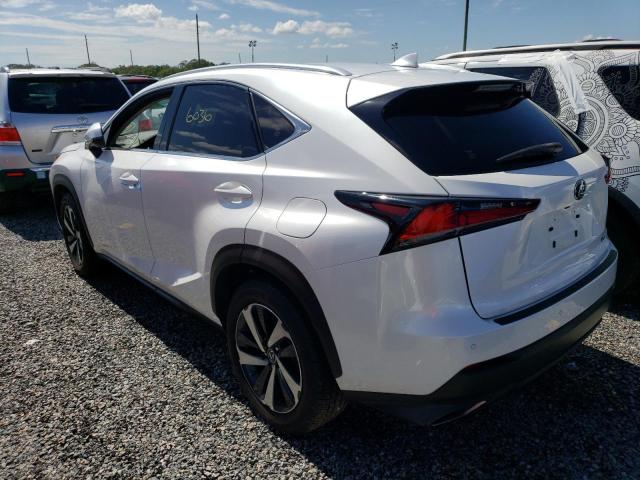 JTJYARBZ3K2142136 - 2019 LEXUS NX 300 BAS 白色 照片 3