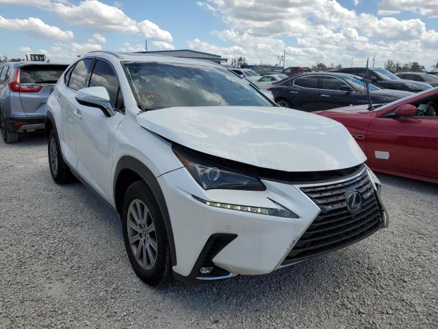 JTJYARBZ8K2142181 - 2019 LEXUS NX 300 BAS WHITE photo 1