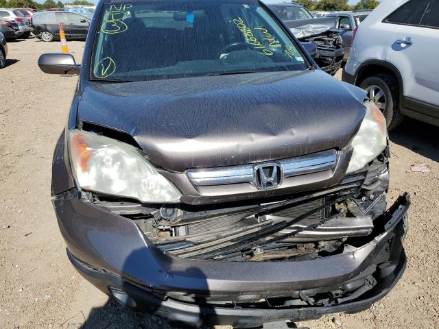 5J6RE48799L018729 - 2009 HONDA CR-V EXL GRAY photo 9