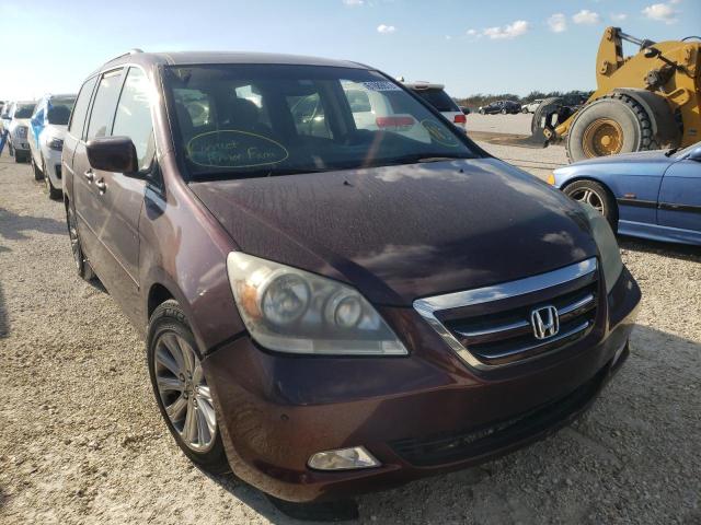 5FNRL38817B012261 - 2007 HONDA ODYSSEY TO BURGUNDY photo 1