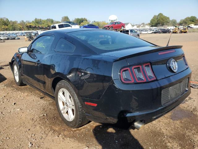 1ZVBP8AM1E5225622 - 2014 FORD MUSTANG BLACK photo 3