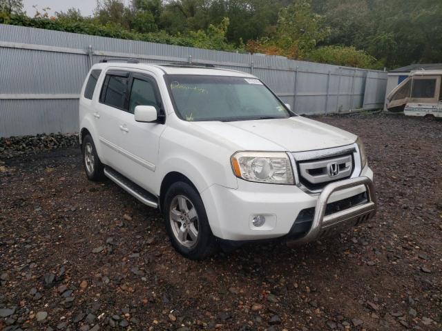 5FNYF48519B034746 - 2009 HONDA PILOT WHITE photo 1