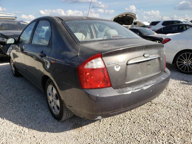 KNAFE121865288575 - 2006 KIA SPECTRA LX GRAY photo 3