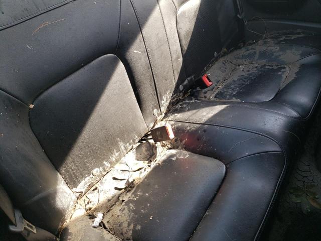 3VWRR31C66M424650 - 2006 VOLKSWAGEN NEW BEETLE 黄色 照片 6