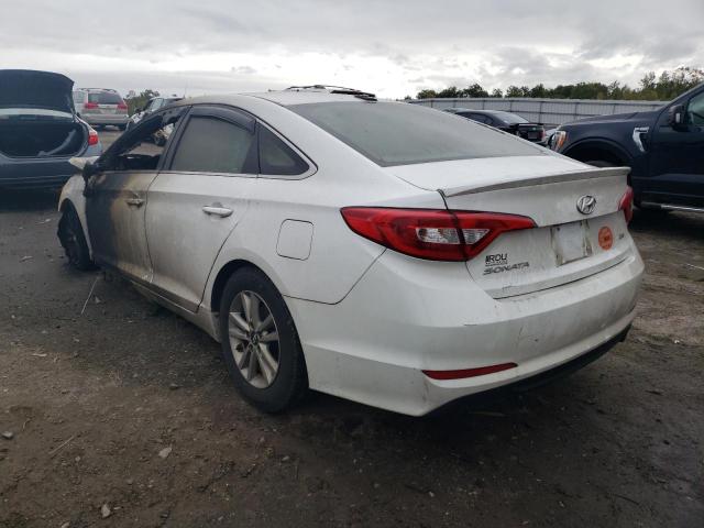 5NPE24AA5FH139566 - 2015 HYUNDAI SONATA ECO  photo 3