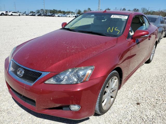 JTHFF2C27A2506897 - 2010 LEXUS IS 250 RED photo 2