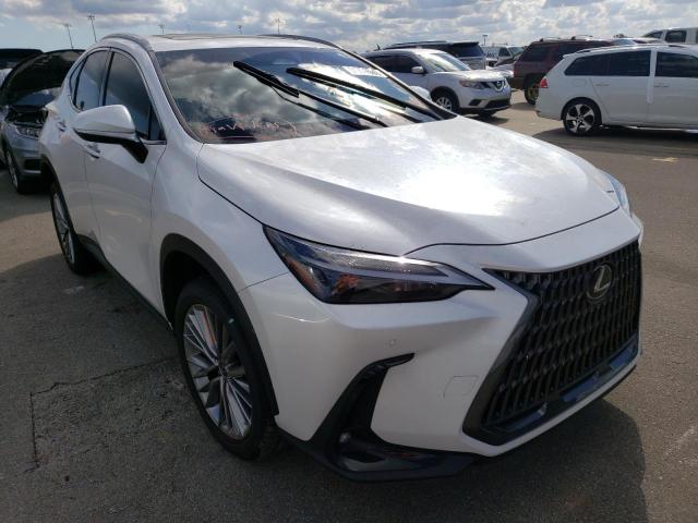 JTJGGCEZ7N5003326 - 2022 LEXUS NX 350 WHITE photo 1