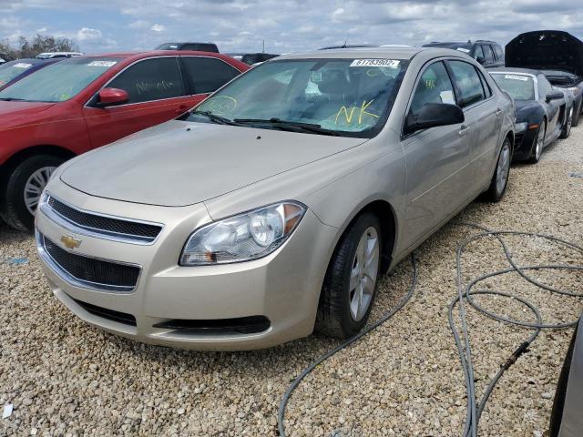 1G1ZB5EB0AF248698 - 2010 CHEVROLET MALIBU LS GOLD photo 2