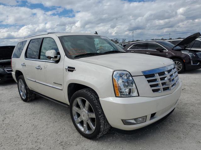 1GYS4CEF9BR321555 - 2011 CADILLAC ESCALADE P CREAM photo 1