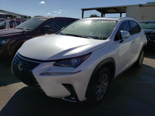 JTJDARBZ9M5028562 - 2021 LEXUS NX 300 BAS WHITE photo 2