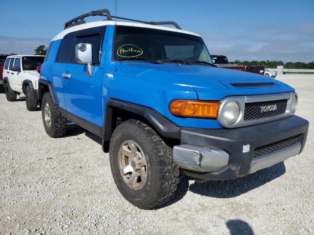 JTEBU11F670044063 - 2007 TOYOTA FJ CRUISER BLUE photo 1