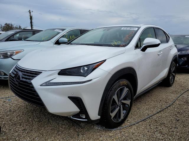 JTJGARBZ0L5018921 - 2020 LEXUS NX 300 WHITE photo 2