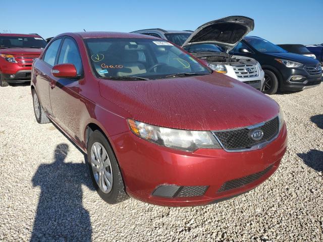 KNAFU4A25A5863626 - 2010 KIA FORTE EX RED photo 1