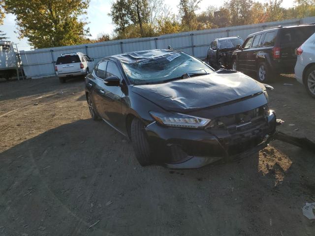 1N4AA6CV4LC364023 - 2020 NISSAN MAXIMA SV BLACK photo 1