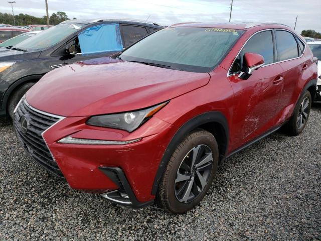 JTJYARBZ0K2132356 - 2019 LEXUS NX 300 BAS 红色 照片 2