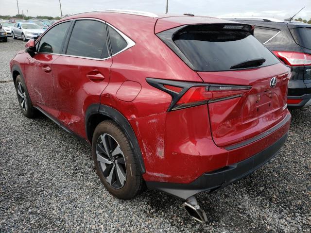 JTJYARBZ0K2132356 - 2019 LEXUS NX 300 BAS RED photo 3