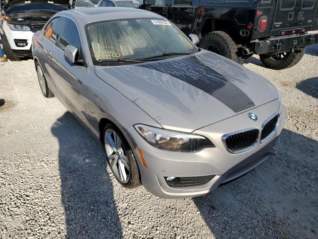 WBA1F5C57EVV99736 - 2014 BMW 228 I Бежевый фото 1
