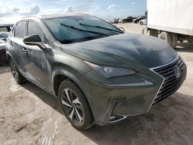 JTJGARBZXM2203044 - 2021 LEXUS NX 300 BAS 绿色 照片 1