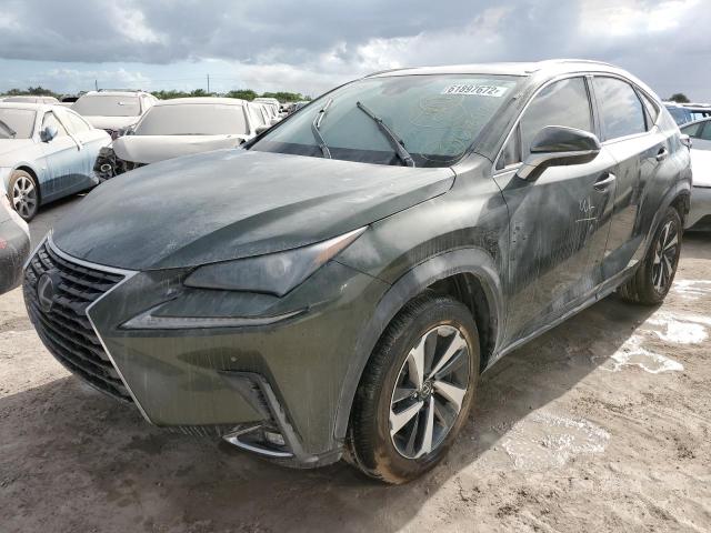 JTJGARBZXM2203044 - 2021 LEXUS NX 300 BAS 绿色 照片 2