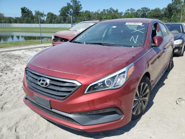 5NPE34AF5GH355136 - 2016 HYUNDAI SONATA SPO RED photo 2