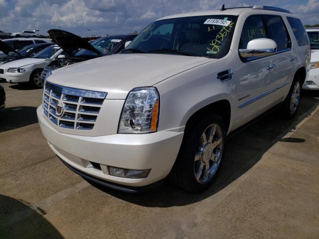 1GYS4CEF3BR221029 - 2011 CADILLAC ESCALADE P WHITE photo 2