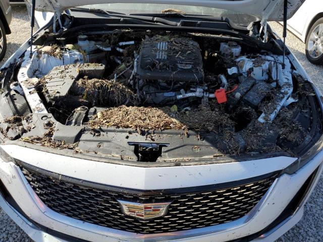 1G6DM5RK2L0117612 - 2020 CADILLAC CT5 LUXURY WHITE photo 7