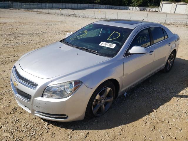 1G1ZC5E13BF129842 - 2011 CHEVROLET MALIBU 1LT 银色 照片 2