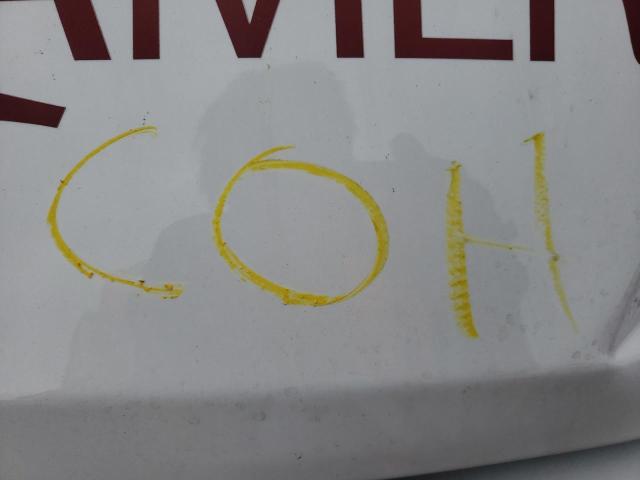 3C6TRVAG9KE540931 - 2019 RAM PROMASTER WHITE photo 7