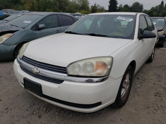 1G1ZT52835F236606 - 2005 CHEVROLET MALIBU LS WHITE photo 2