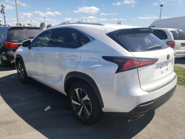 JTJYARBZXK2125673 - 2019 LEXUS NX 300 BAS WHITE photo 3