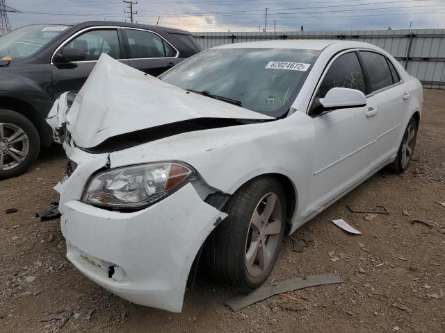 1G1ZC5E13BF399847 - 2011 CHEVROLET MALIBU 1LT თეთრი ფოტო 2