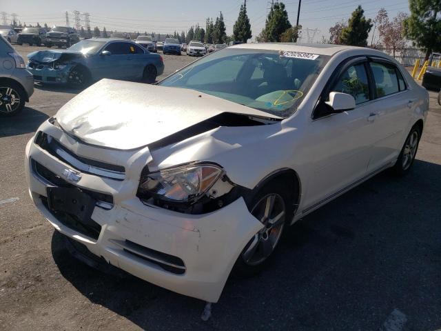 1G1ZC5E15BF342405 - 2011 CHEVROLET MALIBU 1LT 白色 照片 2