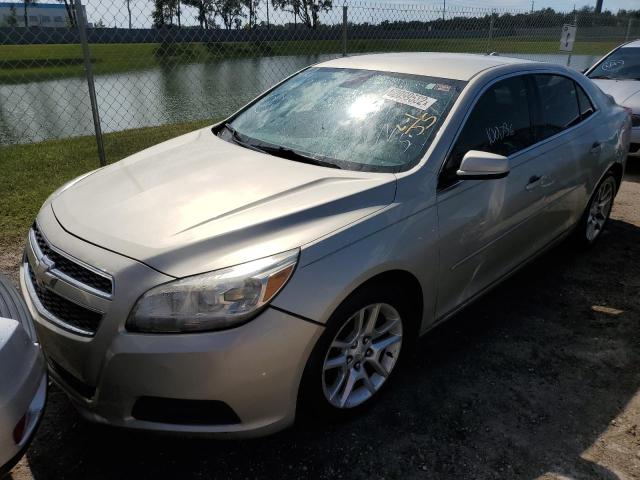 1G11D5SR5DF159500 - 2013 CHEVROLET MALIBU 1LT ბეჟი ფოტო 2