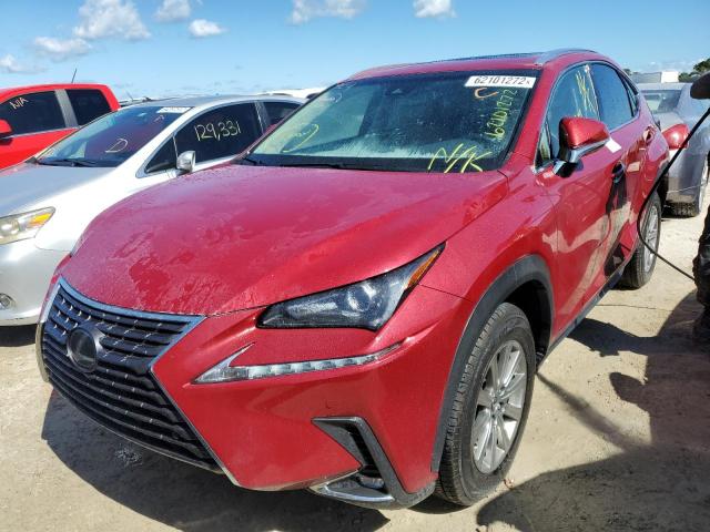 JTJYARBZ8K2122948 - 2019 LEXUS NX 300 BAS RED photo 2